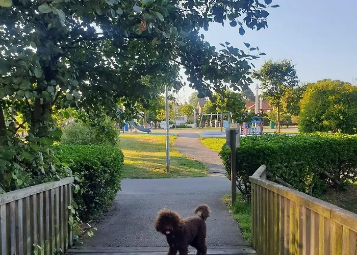 Sol & Relax Appartement *